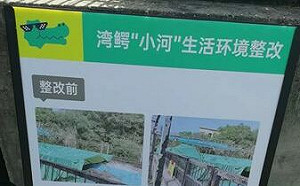 致函海協會 海基會：送往廈門的鱷魚「小河」生活環境獲改善