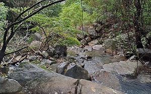 生物多樣性很珍貴！林試所估：全台自然保育效益高達610億元