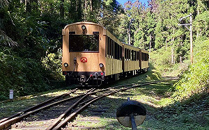 鐵道迷快看！質感檜木森鐵「福森號」限時4天試車