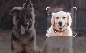 Google AI神器Bard來了！Google：各項工具將更視覺化