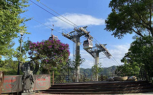 母親節帶媽媽踏青！5/14貓纜一日票買1送1