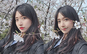 企鵝妹環島「網路討論破萬」哪裡好看？PTT忠實觀眾列「6點」原因　眾人點頭：真的蠻有趣