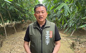 「Lin bay好油」受到外力介入 ? 王定宇 : 林裕紘自導自演  可能涉及一大串協力操控