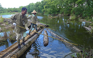 最有趣的環境教育！6/3到羅東自然教育中心體驗一日林場工人