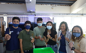 新北珊瑚移植工作坊招募25名志工 