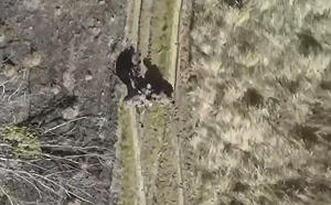 (影) 俄軍沒人性！ 同梯中彈了怎麼辦？ 竟被拿走槍械、頭盔 不管死活丟戰場