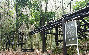 夏季森呼吸   中市觀旅局推薦多條登山步道