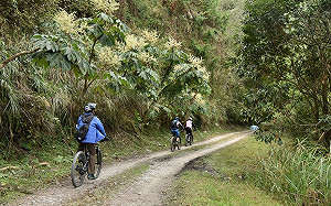 多元入山！雪管處：自行車可入大鹿林道東線計畫延至明年5/19