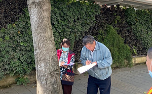 「林口媒體園區」路樹配合交通改善調整 後續依原規劃期程復舊 