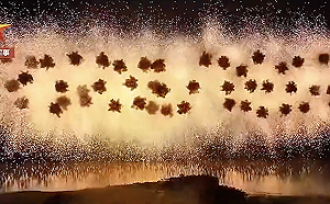 (影) 中國東部戰區電子對抗旅訓練影片曝！浴海釋干擾彈 築起「光電屏障」