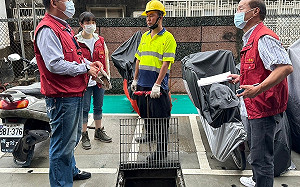 區評避災全防範 新北汛期整備有一套 