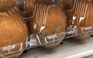 王鴻薇稱「進口蛋發霉還要貼錢餵豬」農委會：人都不能吃豬怎能吃