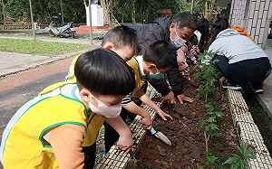 新北閒置校舍活化新典範 平溪國小東勢分班轉型青銀共創基地 