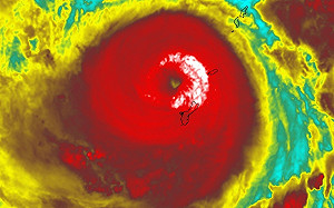 「瑪娃」重開愛心眼？彭啟明曝一現象：憂心未來發展