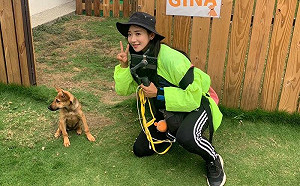 企鵝妹救援浪犬！迅速找到了新家