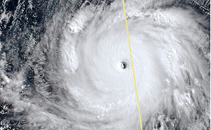 進入強度高峰期！「瑪娃」又胖又圓  網：好想它來掃一下