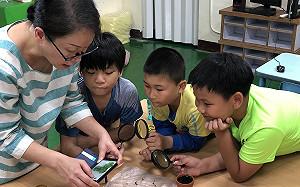 綠化新創意！新北平溪國小學生自製「苔可愛」課程模組