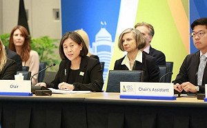 戴琪會中國商務部長 關切中方非市場行為