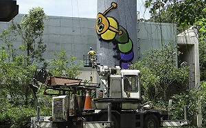 別撲空！北市動物園6/12起進行維護 暫停開放10天