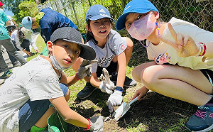 產官學攜手護蟹   「金色水岸友善陸蟹生態廊道」守護行動今起跑
