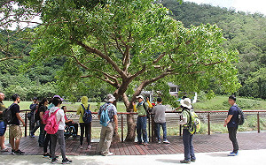 出遊踏青注意！7/1起「14國家森林遊樂區」優待票漲至30元