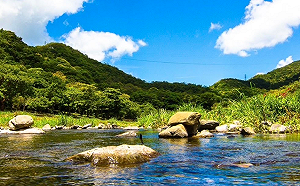 國家森林遊樂區避暑去！台灣Pay購票10/31前享10%回饋