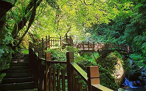 踏青好去處！新竹秘境老鷹溪步道6/9重新開放