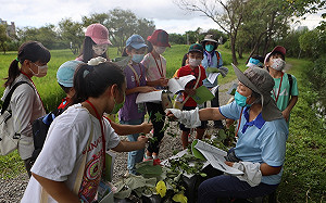 2023新北濕地夏令營 給孩子來趟水水的奇幻冒險吧 