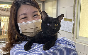 愛撒嬌黑貓眼睛受傷下頷斷裂  新北動保處妙手回春找到新家