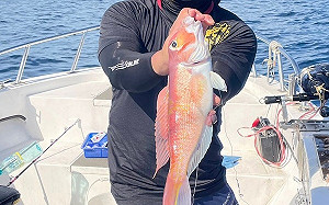 日頭炎炎！來新北東北角船釣馬頭魚