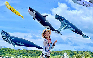 結合大型氣墊水樂園   旗津風箏節暑假擴大舉辦