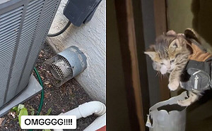 地下室傳詭異哭聲！她拆水管救出小生命