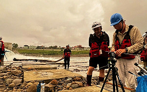 新北碧潭堰為小毛蟹繫上洄家的捷徑