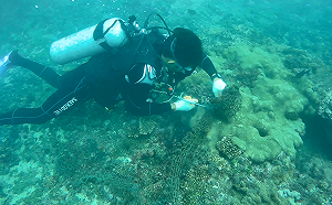 維護海洋生態！新北三芝到林口禁用刺網拖網 違者可罰15萬元