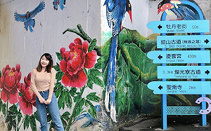 端午連假去哪玩？新北嚴選好去處大公開　