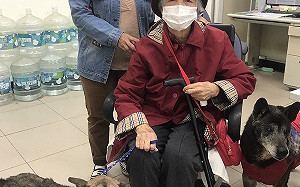 銀髮族養寵物好處多 新北動保處提醒成犬個性穩定更合適