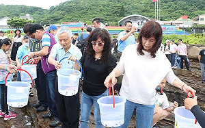 新北推海洋造林、放流11萬粒九孔苗