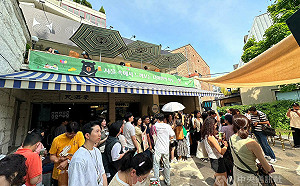 韓國年輕旅客瘋台灣 藝文觀光行程瞄準商機