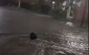 (影) 暴雨紅色警報！貴陽、湖北「做大水」車輛沖橋下 市民湍流中游泳出門