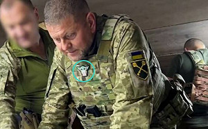 布達諾夫變「懦夫」? 扎盧日內遭撤職他不敢接 澤連斯基恐成光桿司令