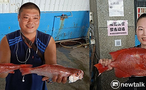 成功漁港體驗拍賣魚貨 肥美海鮮順大新港應有盡有