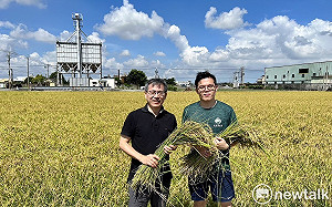興大智耕團隊研發 全台唯一天然低蛋白米成功上市