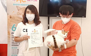 高雄首屆「渴望健康」肥貓大賽登場   冠軍重達10.6公斤