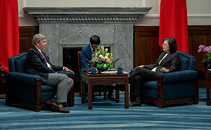 接見美聯邦眾院軍事委員會訪團 總統：盼及早解決台美雙重課稅問題