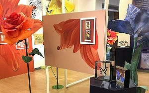 特色花草免費看！植物郵票與押花特展  7/4登場 