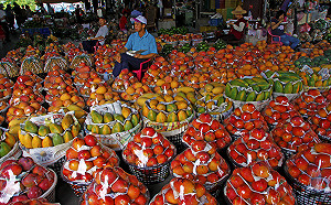 降低對中國依賴  台灣農產品拓展外銷成功！農委會：美、日已成前2大市場