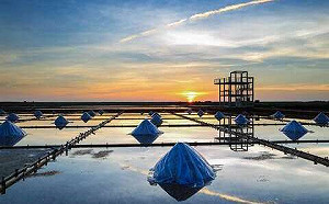 採芒果、吹海風迎暑假！台南3經典自駕遊  感受不一樣的南台灣