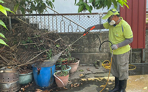 登革熱疫情持續升溫！本土新增101例、4例重症