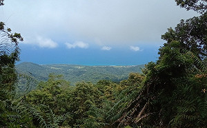 花蓮「安通山」溫度飆破39度！氣象局：明天全台18縣市高溫特報