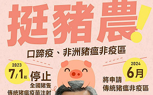 全國豬隻7/1起全面停打豬瘟疫苗 陳揆：朝亞洲唯一非疫區國家邁進